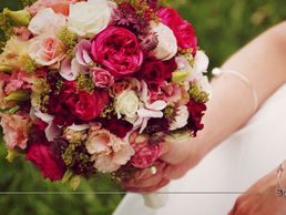 immagine di Schaub-Movie Videography