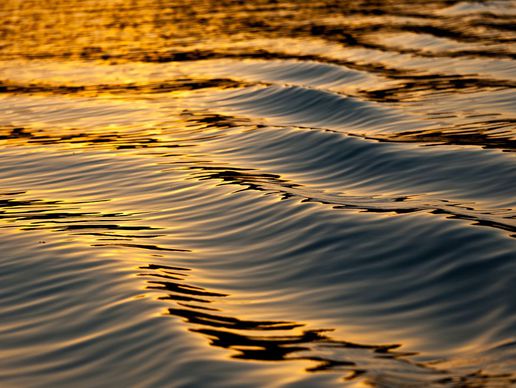 picture of Centre NeuroBodyMind