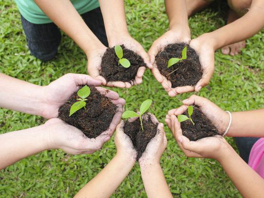 Bild zu plante-vivace.ch