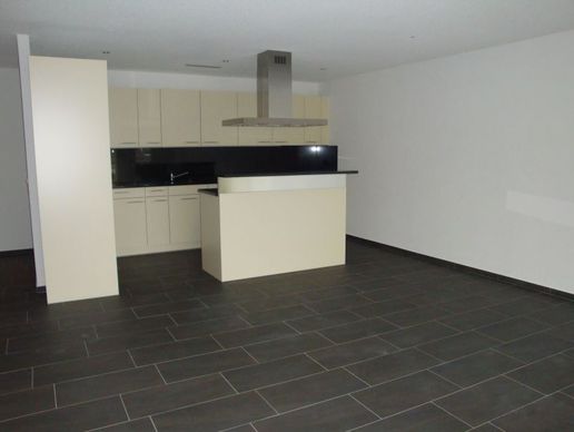 Bild zu Albanese Gebr. AG