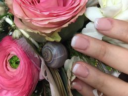 immagine di Ritas Naildesign