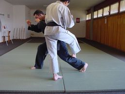 image de Santé Holistique Sàrl