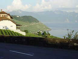 picture of Domaine Croix Duplex