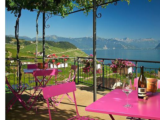 picture of Domaine Croix Duplex