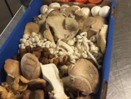 immagine di Restaurant Pizzeria le Pigeon