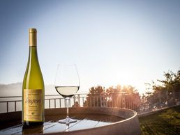 picture of Forestier Jean-Paul - Caveau de la Pierraz