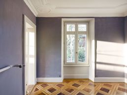 immagine di Mijong Sàrl