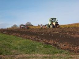 picture of Domaine des Curiades