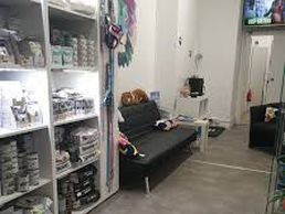 picture of Cabinet Vétérinaire de la Jonction