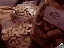 Bild zu Spahni Courtage Sàrl