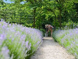 picture of Garden Centre Schilliger SA
