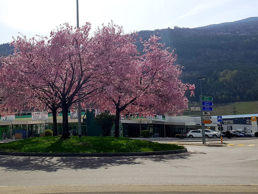 image de Groupe HM SA