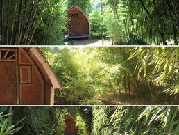 Bild zu Bambous.ch Sàrl