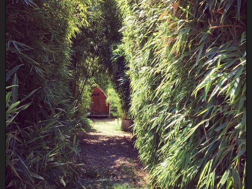 Bild zu Bambous.ch Sàrl