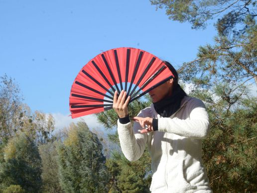 picture of Taiji du Chaudron Lausanne