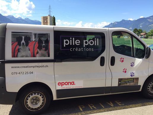 image de Création Pile Poil