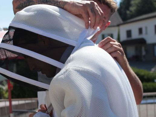 picture of Wespennest Entfernen Kanton Luzern