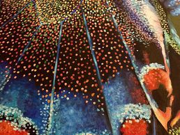 immagine di Lisa Maier