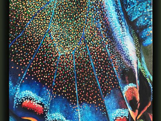 immagine di Lisa Maier