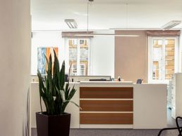 immagine di Zen-Ruffinen Alexandre