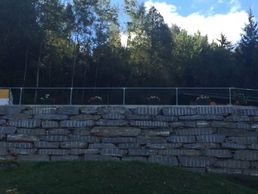 immagine di Ribeiro Manuel