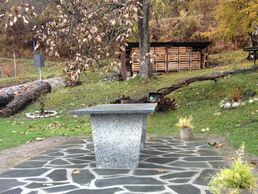 immagine di Ribeiro Manuel