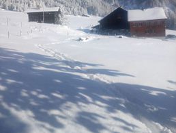 immagine di Elmer Peter Jun. und Seraina (-Ambühl)