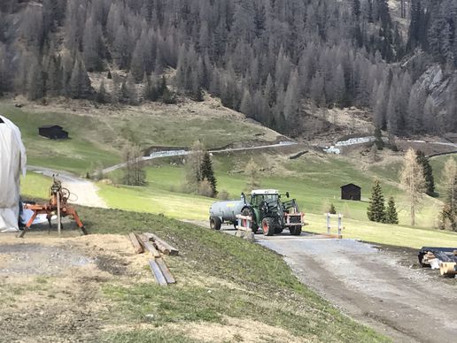 immagine di Elmer Peter Jun. und Seraina (-Ambühl)