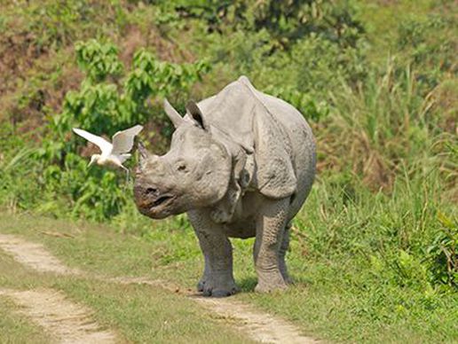 immagine di Le Vent des Routes