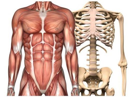 picture of Praxis Singh - Medizinische Massagen