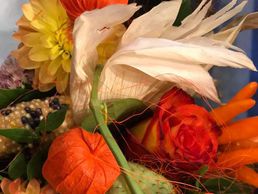 Bild zu Bernex Fleurs