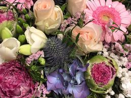 Bild zu Bernex Fleurs