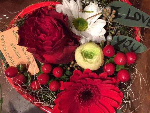 Bild zu Bernex Fleurs