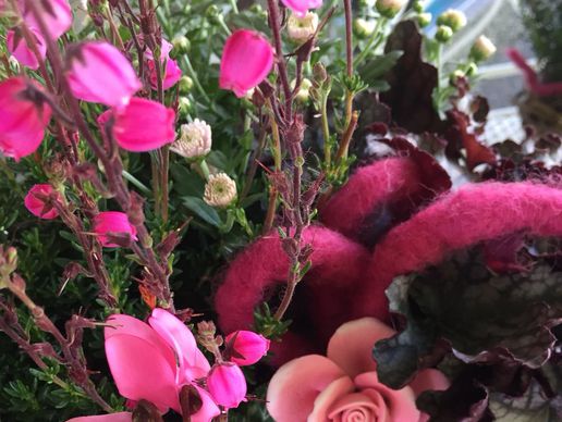 picture of Blumen Viola