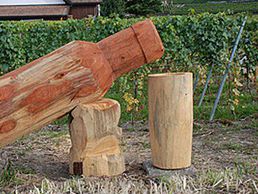 immagine di Cave du Clos Aimond Sàrl