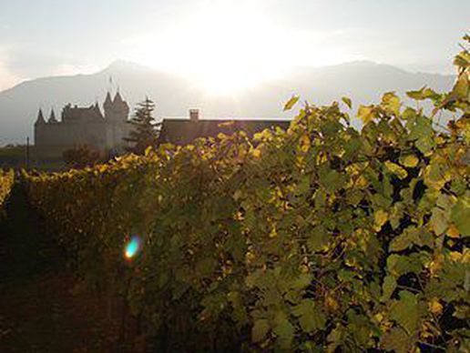 immagine di Cave du Clos Aimond Sàrl