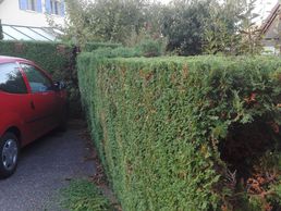 immagine di Paysagiste Aux AGUET