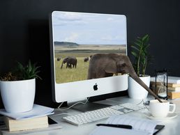 image de Com & Dev Solutions