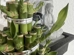 picture of Nicha Thaï Massage