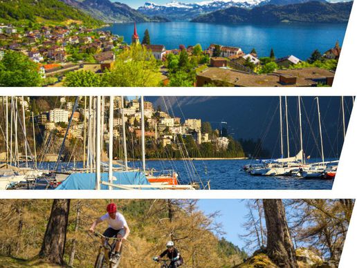 Bild zu Wespeak Sagl