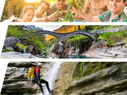 Bild zu Wespeak Sagl