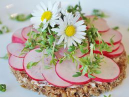 picture of Quicklebendig - Ganzheitliche Gesundheits- und Ernährungsberatung Winterthur
