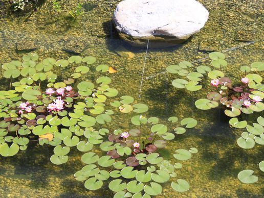 picture of Charmoy J.-F. SA