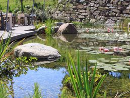 picture of Charmoy J.-F. SA