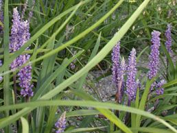 picture of Charmoy J.-F. SA