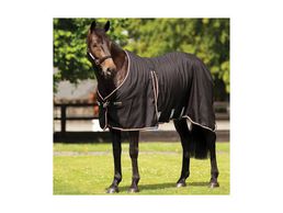 immagine di Passion Equestre Sàrl