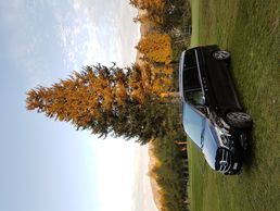 image de Swiss EcoTaxis Sàrl