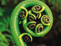 picture of Voyageplan