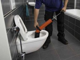 picture of Richoz Sanitaire