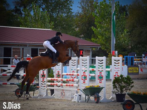 immagine di Jump's Partner